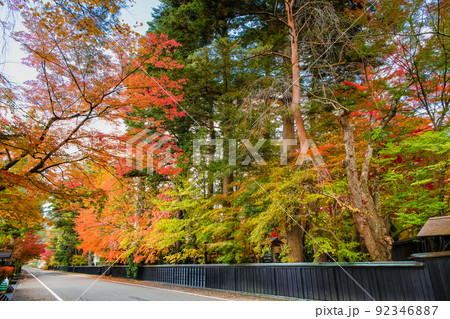 秋田県仙北市 紅葉の角館武家屋敷通り　～青柳家～ 92346887