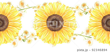 Sunflowers and chamomile seamless border .Watercolor illustration.Isolated on a white background. 92346894