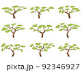 Set of vector images of acacia trees in flat design. 92346927