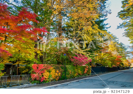 秋田県仙北市　紅葉の角館武家屋敷通り 92347129