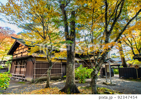 秋田県仙北市 紅葉の角館武家屋敷通り　～岩橋家～ 92347454