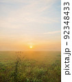 Thistle bush at dawn in a foggy field against the sky and the Sun, vertical photo 92348433