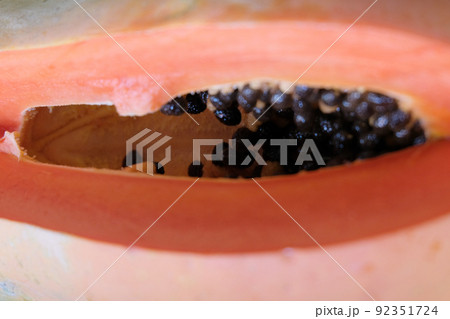 Close-up fresh papaya Close-up fresh papaya 92351724