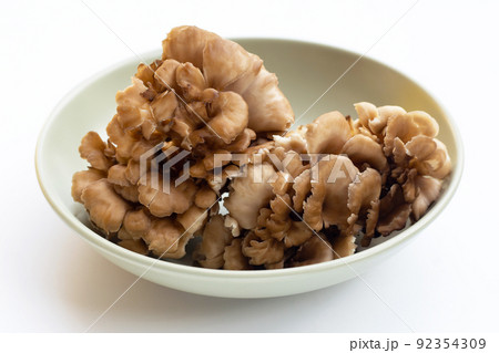 Maitake (Grifola frondose) mushroom on white background Maitake (Grifola frondose) mushroom on white background 92354309