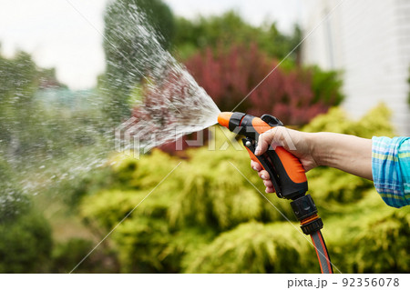 woman watering plant in garden in summer woman watering plant in garden in summer 92356078