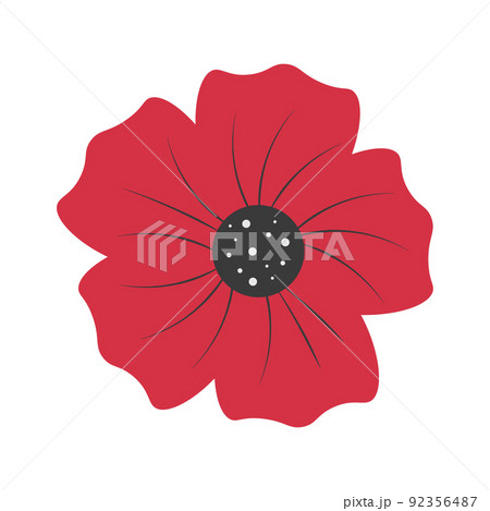 Poppy flower illustration Remembrance day symbol Poppy flower illustration Remembrance day symbol 92356487