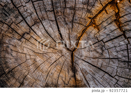 Wooden stump circular, cross section round cut down large dried tree trunk with annual rings texture cracks, multicolor slice cover grey patina. Light dark shadow black blue orange gold brown tones Wooden stump circular, cross section round cut down large dried tree trunk with annual rings texture cracks, multicolor slice cover grey patina. Light dark shadow black blue orange gold brown tones 92357721