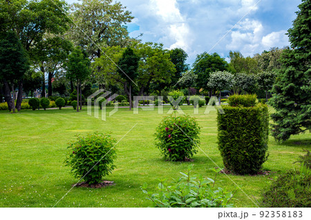 deciduous and molded thuja bushes in parkland garden bed, park landscaping with mulching plants with turf lawn meadow and pine trees on spring backyard, eco friendly theme backdrop, nobody. deciduous and molded thuja bushes in parkland garden bed, park landscaping with mulching plants with turf lawn meadow and pine trees on spring backyard, eco friendly theme backdrop, nobody. 92358183