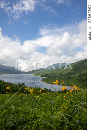 夏の野反湖 群馬県 夏の野反湖 群馬県 92360300
