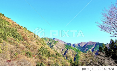 広角レンズで撮影した静岡県の寸又峡プロムナードから見える朝の紅葉 広角レンズで撮影した静岡県の寸又峡プロムナードから見える朝の紅葉 92361978
