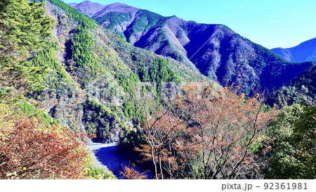 静岡県の寸又峡プロムナードから見える朝の紅葉と寸又川 92361981