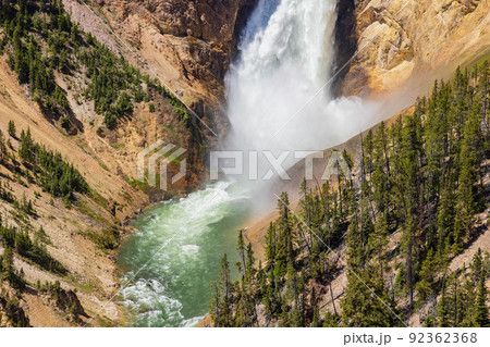 Lower Falls of the Yellowstone in Yellowstone National Park 92362368