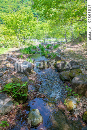 奥四万湖　湖畔　水辺　せせらぎ公園　新緑の季節　　 92363617