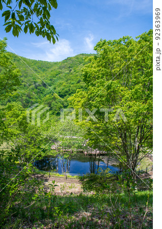 奥四万湖　湖畔　水辺　せせらぎ公園　新緑の季節　　 92363969