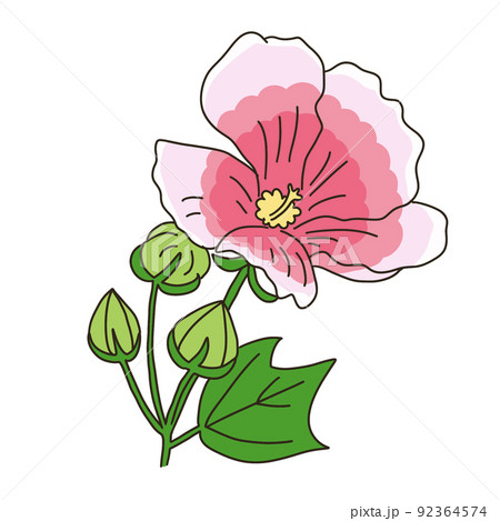 スイフヨウ 92364574