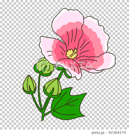 スイフヨウ 92364574