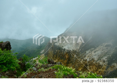 霧がかった崖と高山植物 霧がかった崖と高山植物 92366350