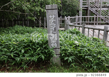 北斗展望台園地の案内板 92366849