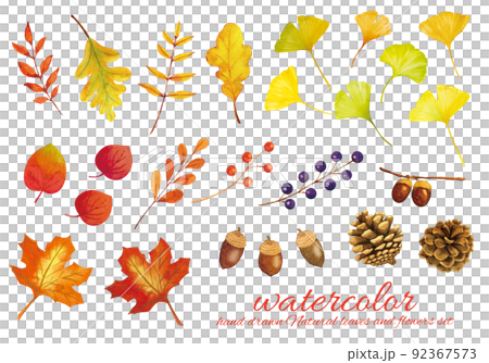 落葉和堅果的水彩材料集 92367573