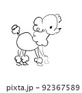 プードル 92367589