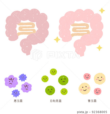 手描きの腸内と細菌 92368005