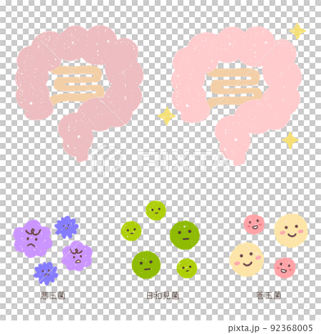 手描きの腸内と細菌 92368005