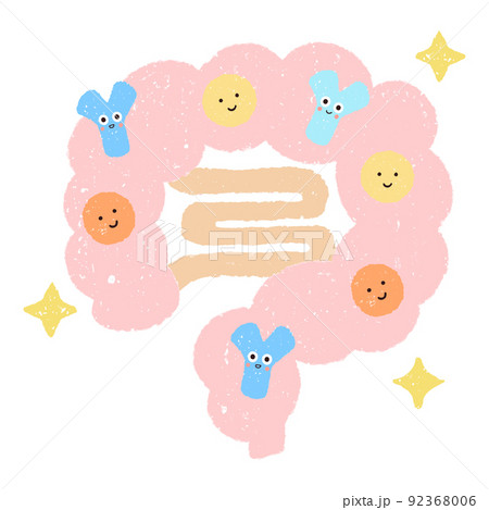 腸とビフィズス菌と腸内細菌 92368006