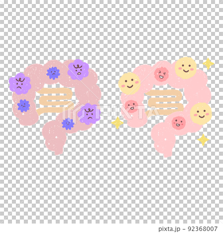 善玉菌のいる腸と悪玉菌のいる腸 92368007