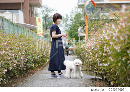 愛犬と遊歩道を散歩する女性 愛犬と遊歩道を散歩する女性 92369064