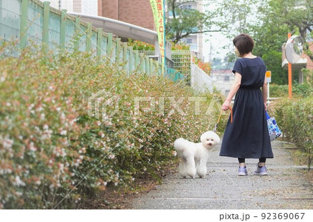 愛犬と遊歩道を散歩する女性 92369067