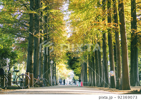 紅葉した公園 92369073