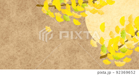 紅葉　イチョウ　秋　背景 92369652