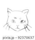 ねこ 92370637
