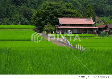 田園を通る道 富岡の棚田 田園を通る道 富岡の棚田 92370654