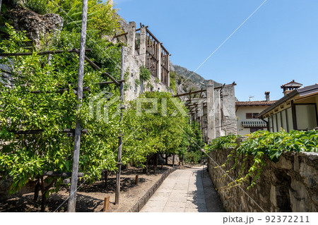 Limone del castel 92372211