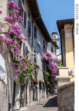 Bougainvillea in Limone sul Garda 92372228