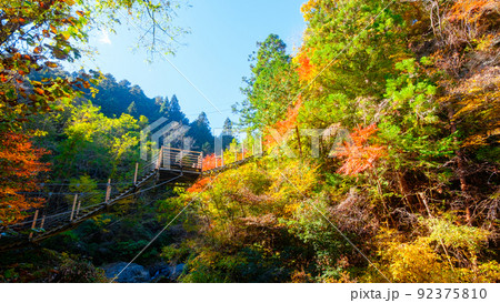 大柳川渓谷（秋）：竜神橋 92375810