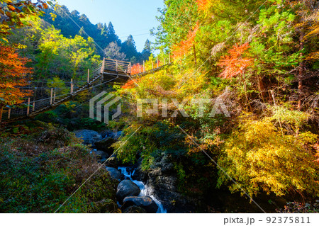 大柳川渓谷（秋）：竜神橋 92375811