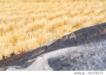 【秋素材】燻炭作り【長野県】 92376272