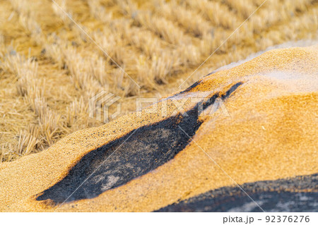 【秋素材】燻炭作り【長野県】 92376276