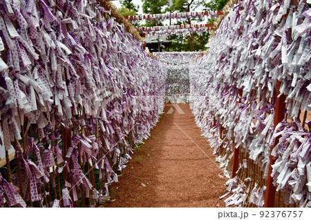 金沢最古の石浦神社のおみくじの道 92376757