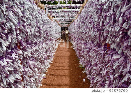 金沢最古の石浦神社のおみくじの道 92376760