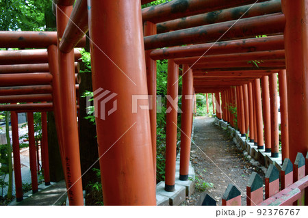 金沢最古の石浦神社の101基の鳥居 92376767