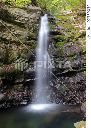 【大阪府岸和田市】牛滝一の滝 92379050