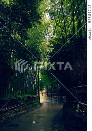 京都・嵯峨野の竹林 京都・嵯峨野の竹林 92381212
