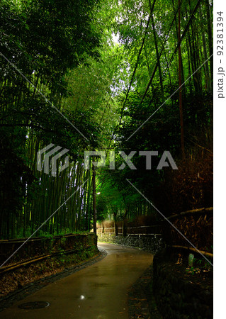 京都・嵯峨野の竹林 92381394