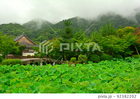 京都・天龍寺 京都・天龍寺 92382202
