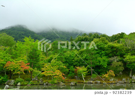 京都・天龍寺 92382239