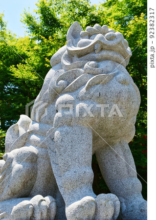 京都 建勲神社の狛犬 京都 建勲神社の狛犬 92382317