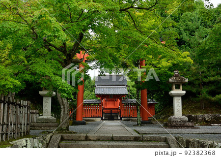 京都・天龍寺 92382368